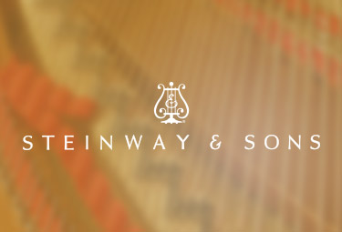 施坦威殿堂級鋼琴官網(wǎng)設計