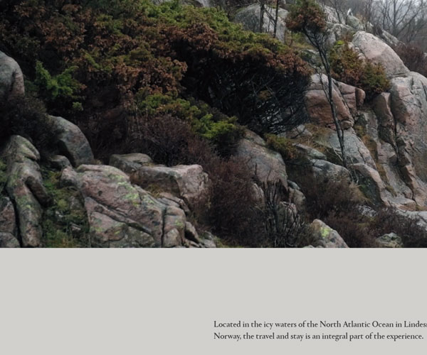 精美的內(nèi)容