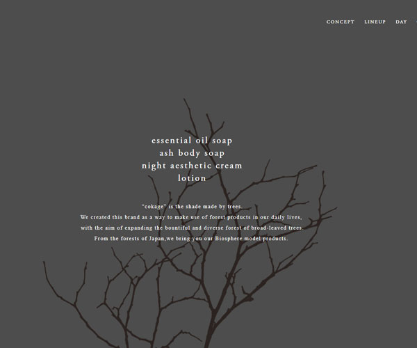 首頁(yè)的自然風(fēng)格