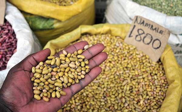 農業(yè)可持續(xù)化發(fā)展