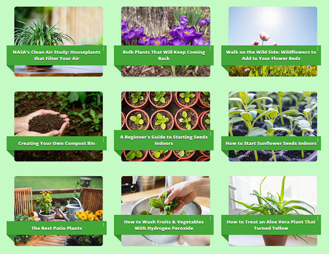 花卉植物園藝指導